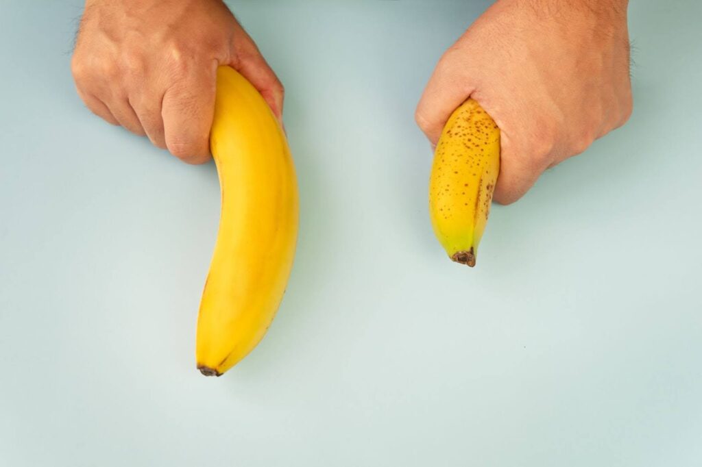 what is the average penis size