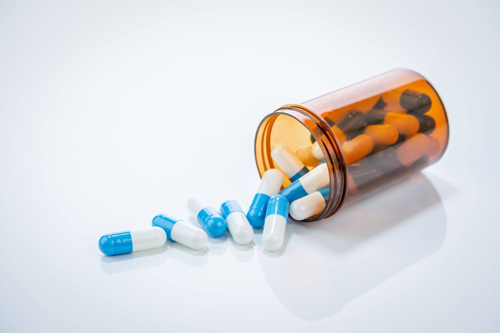 what is amoxicillin used for