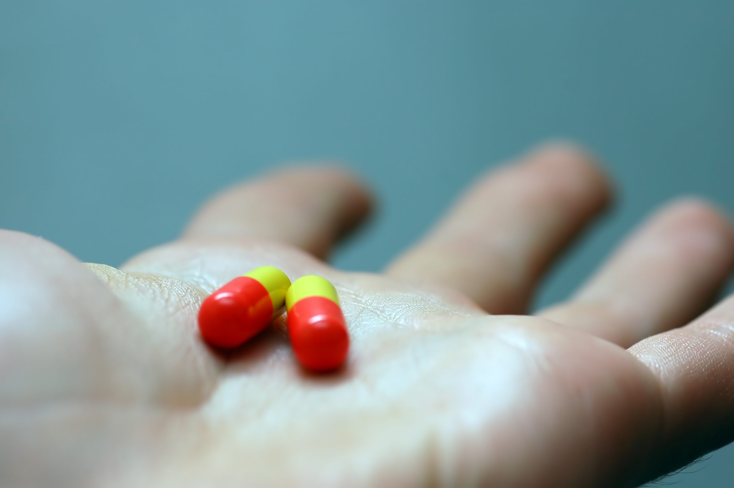 wegovy pills