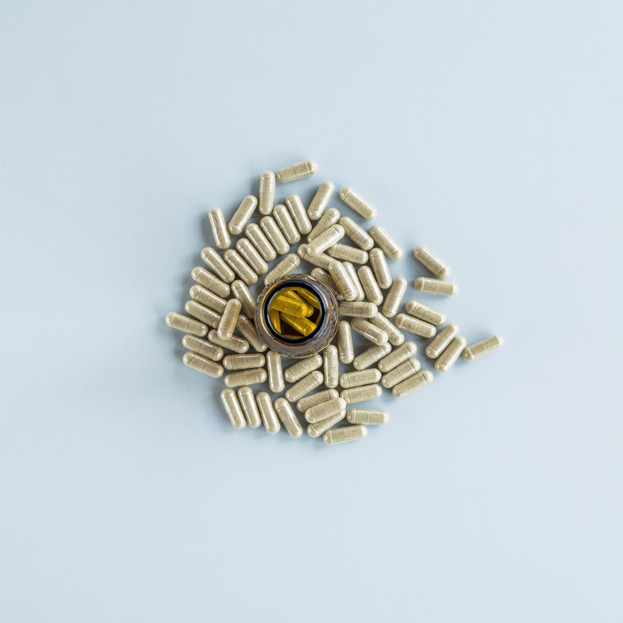 bricanyl turbohaler 500mcg