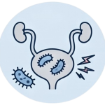 Medication for UTIs (Cystitis)