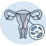 Medications for Bacterial Vaginosis